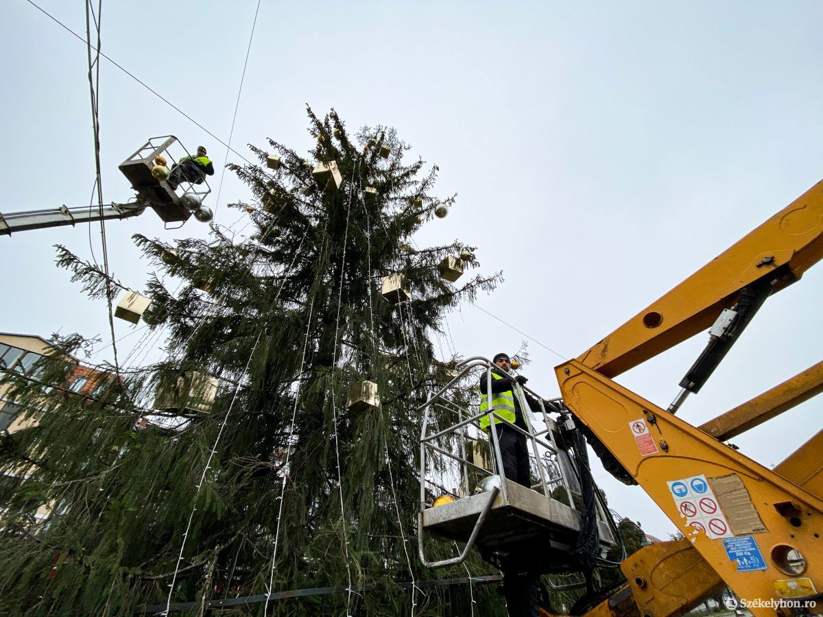 &bullet;  Fotó: Rab Zoltán