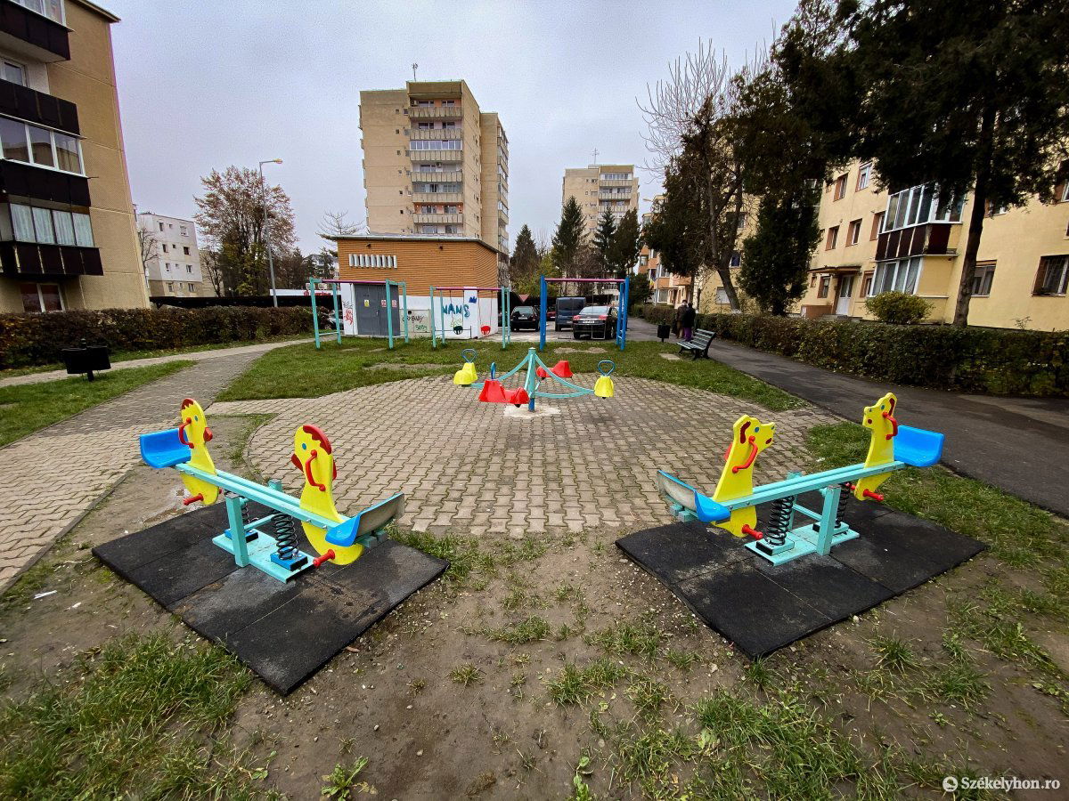 Képünk illusztráció •  Fotó: Rab Zoltán