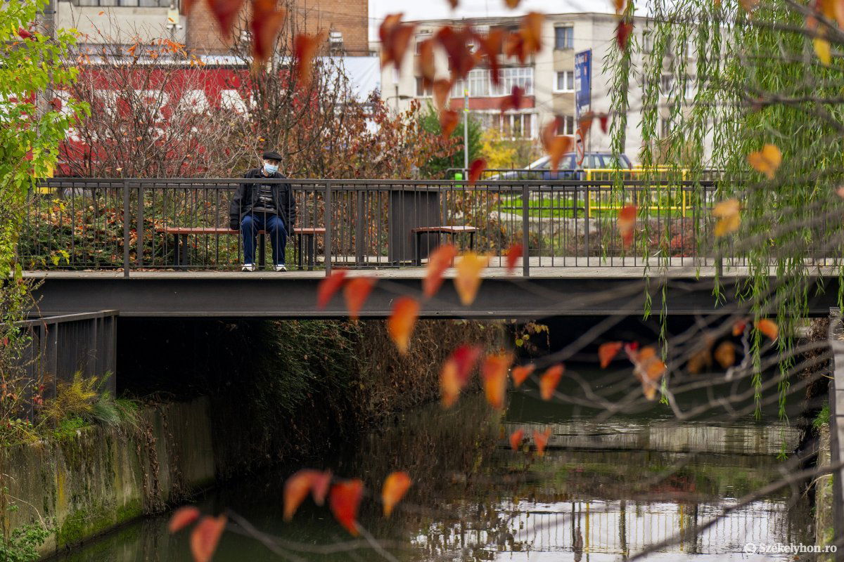 •  Fotó: Haáz Vince
