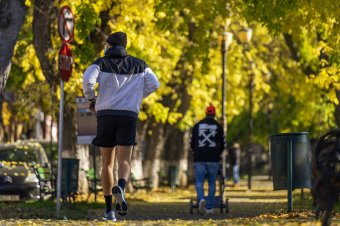 Mit tartogat még az ősz? Íme, a kéthetes előrejelzés