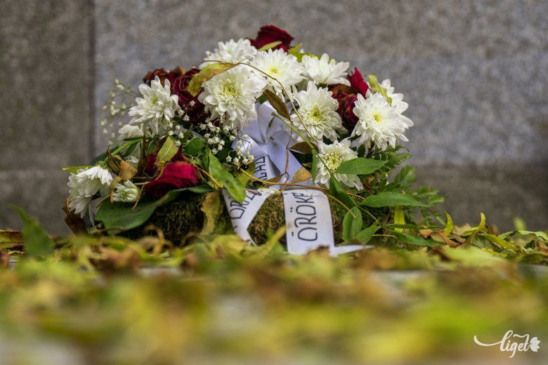 A halállal való találkozás a veszteség egy szélsőséges formája •  Fotó: Haáz Vince