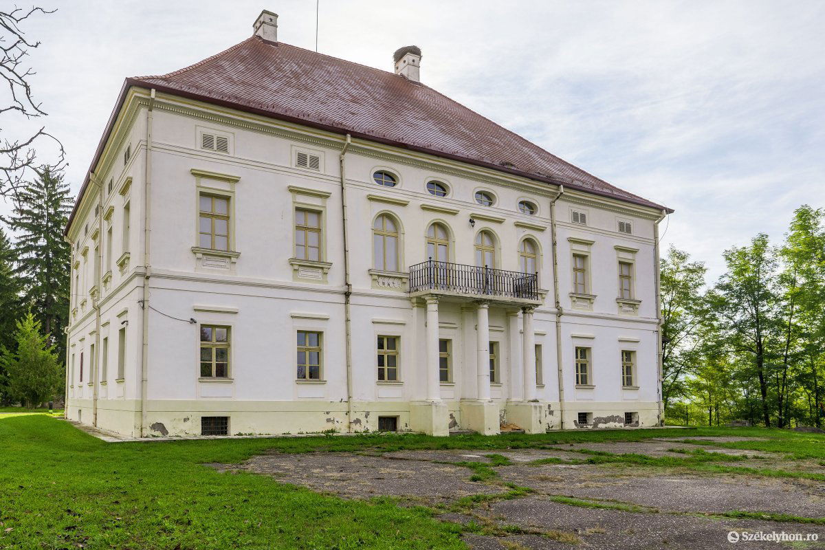 •  Fotó: Haáz Vince