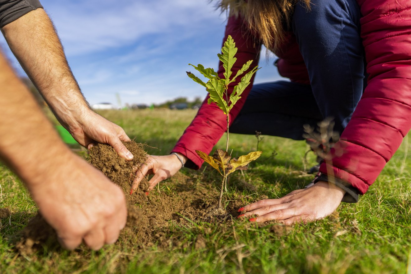 Meghirdették a Zöldövezet program újabb kiadását