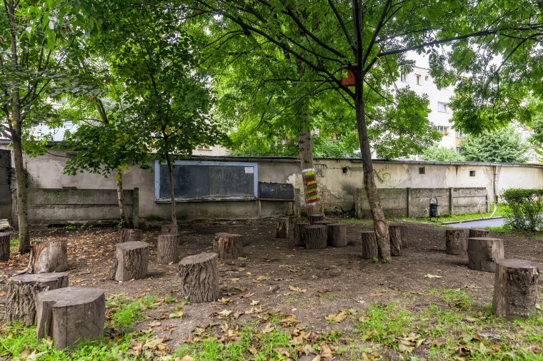 Alternatív megoldás, ami most jól is jöhet: farönkös osztályterem a szabadban