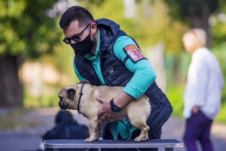 Versenyeznek a házőrzők Marosvásárhelyen