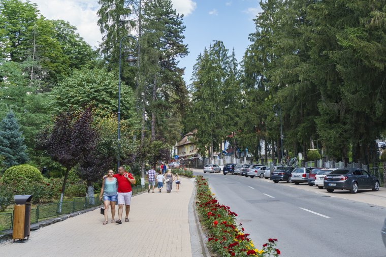 Itt a Medve-tó, amott egy medve