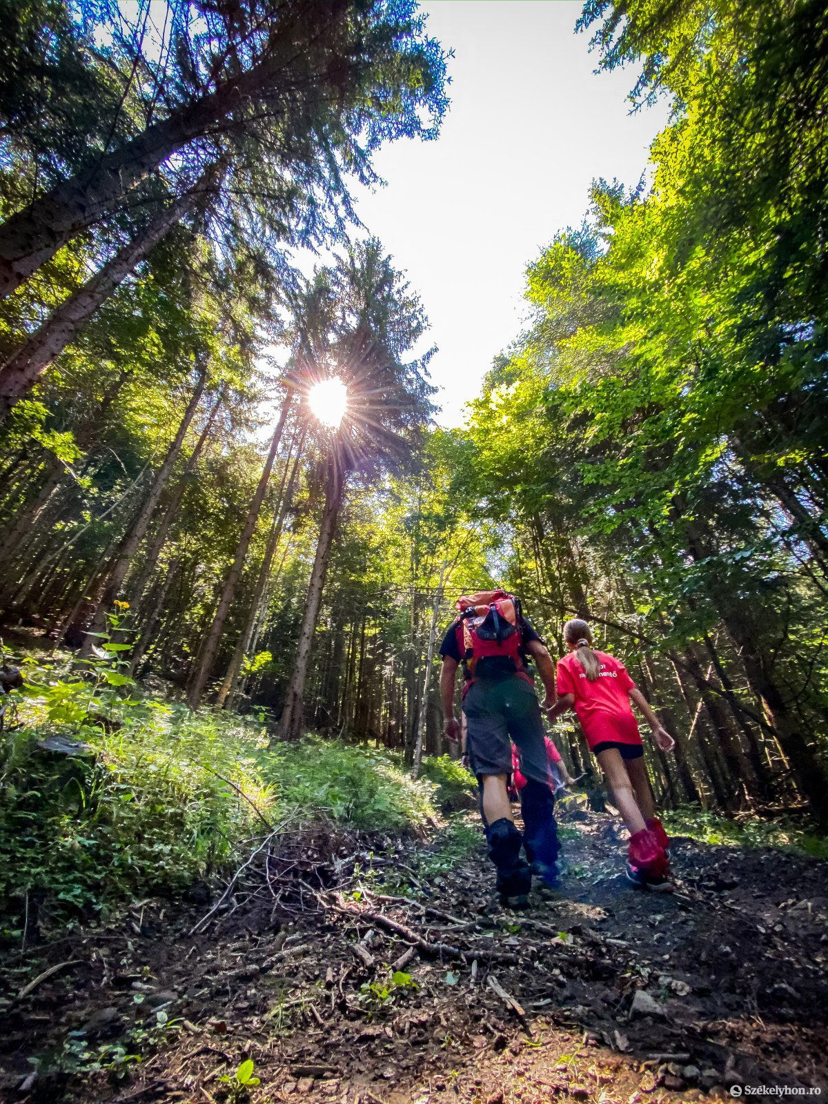 &bullet;  Fotó: Rab Zoltán