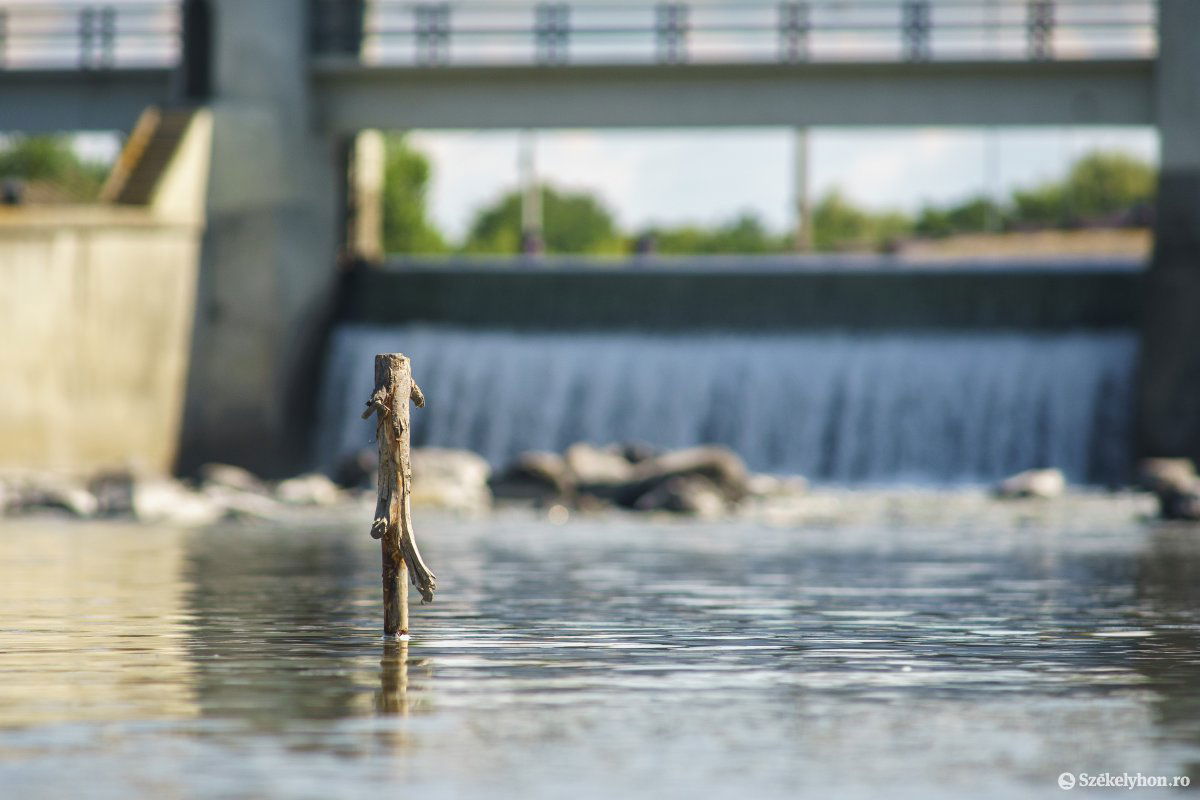 Nem csökkent még drasztikusan a Maros vízhozama • Fotó: Haáz Vince