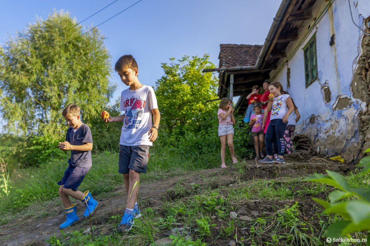 Archív •  Fotó: Haáz Vince