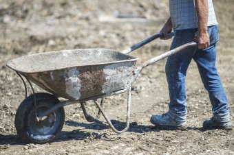 Elvették az irataikat, rabszolgaként dolgoztattak hat személyt Giurgiu megyében