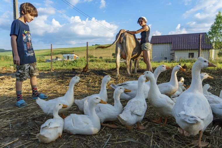 Értelmiségi farmerélet: Csíky Csengele