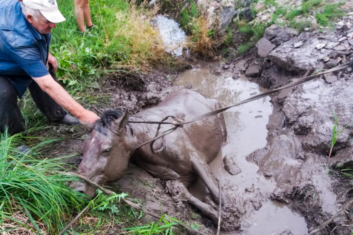 •  Fotó: Maros megyei tűzoltóság