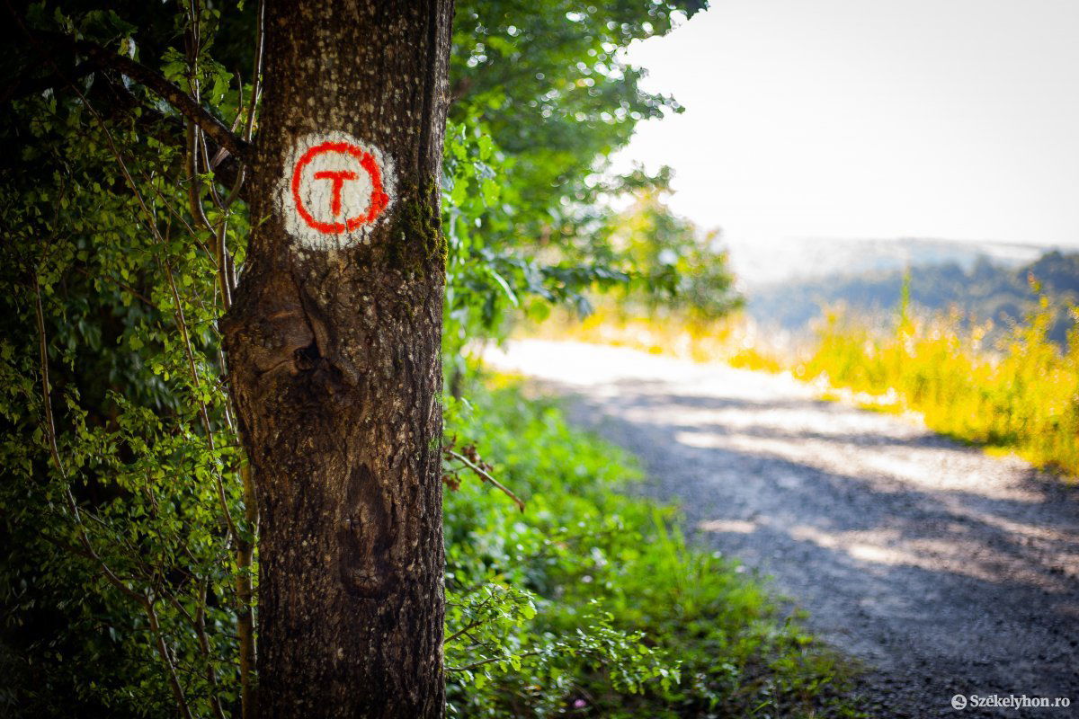 T betűvel jelölik a Via Transilvanicát •  Fotó: Rab Zoltán