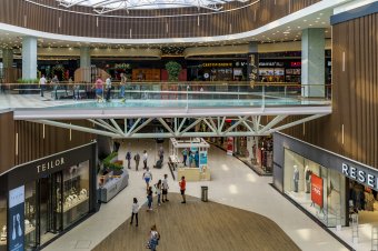 Csótányinvázió miatt ideiglenesen bezárták Marosvásárhely legnagyobb bevásárlóközpontját