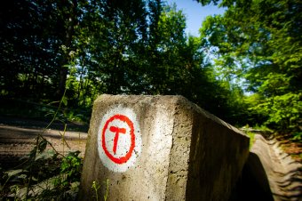 Ismét bejárható a Via Transilvanica Parajdon áthaladó szakasza