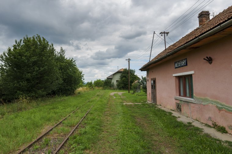 Nem értik a kerékpározást népszerűsítő államfő döntését a tervezett bicikliút visszautasításával kapcsolatban
