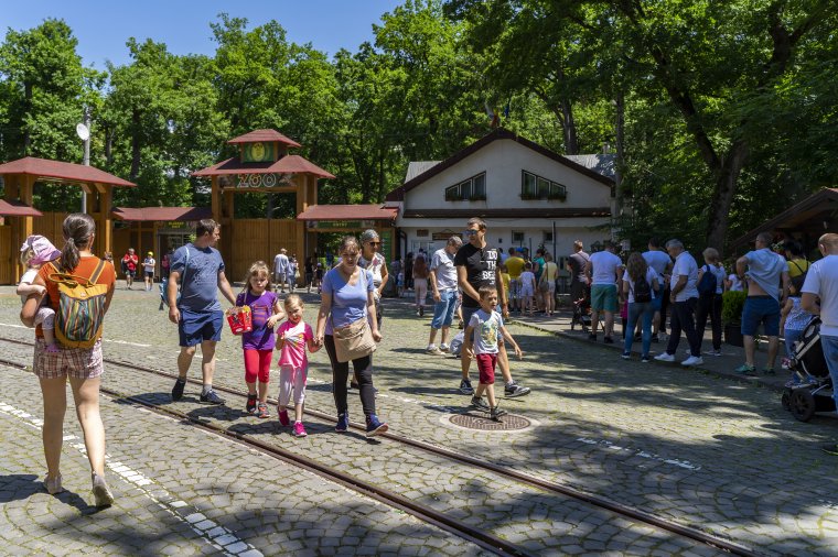 Az egyéni és a családi élménygyűjtés válik fontossá