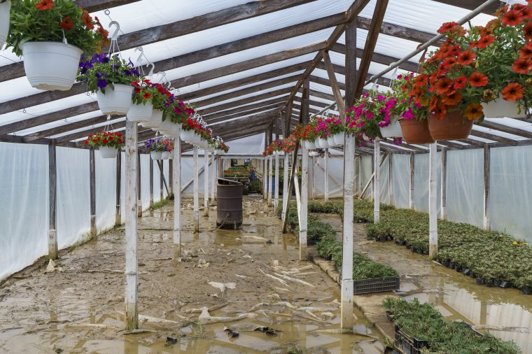 „Nincs olyan patak, ami ezt a mennyiséget megitta volna”