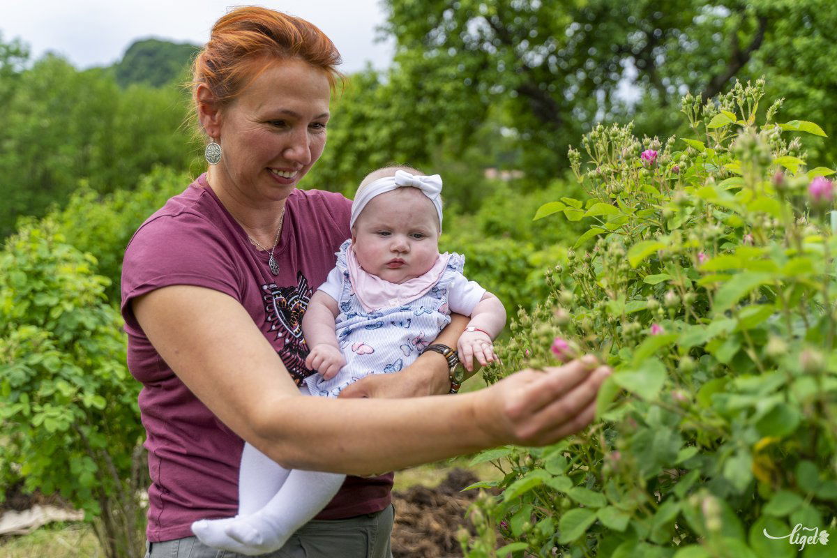 Büszkén mesél unokájának a Csodakert növényeiről •  Fotó: Haáz Vince