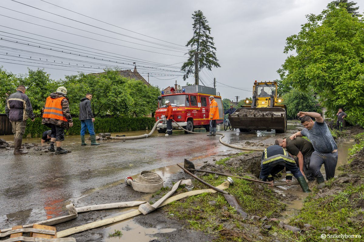 Nyárádköszvényes •  Fotó: Haáz Vince