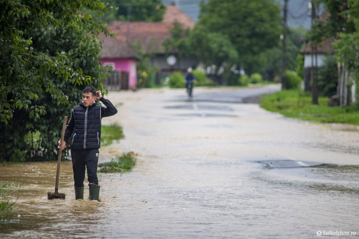 Nyárádköszvényes •  Fotó: Haáz Vince
