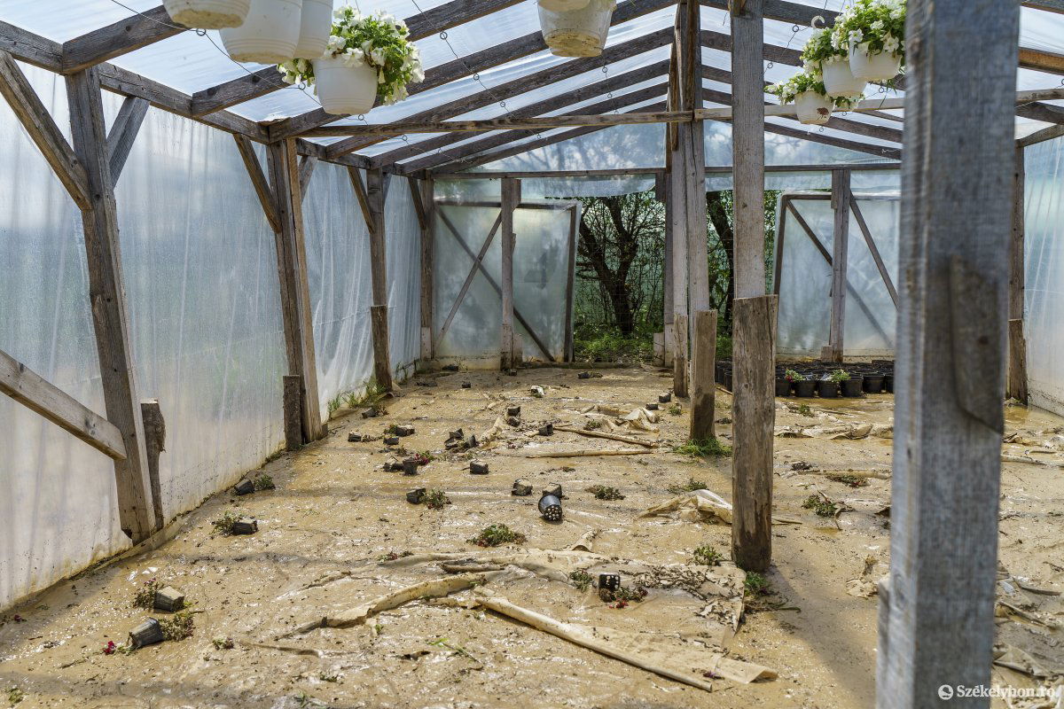 &bullet;  Fotó: Haáz Vince