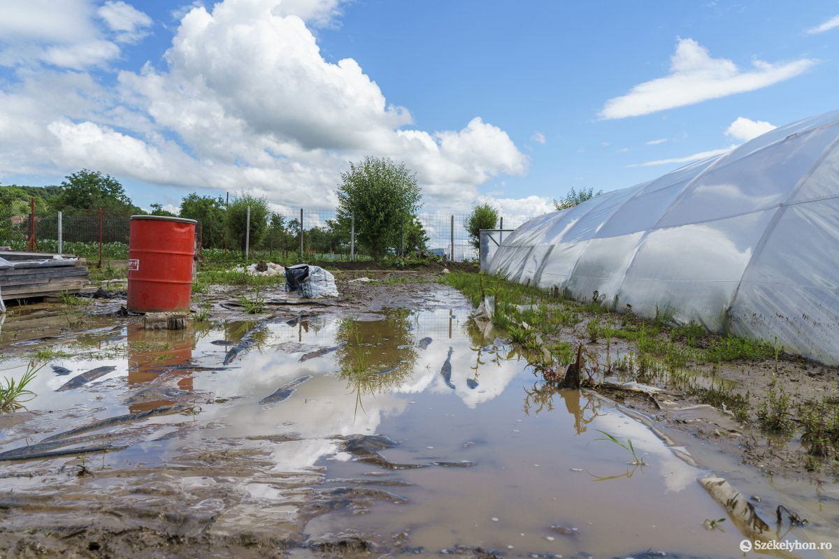 &bullet;  Fotó: Haáz Vince