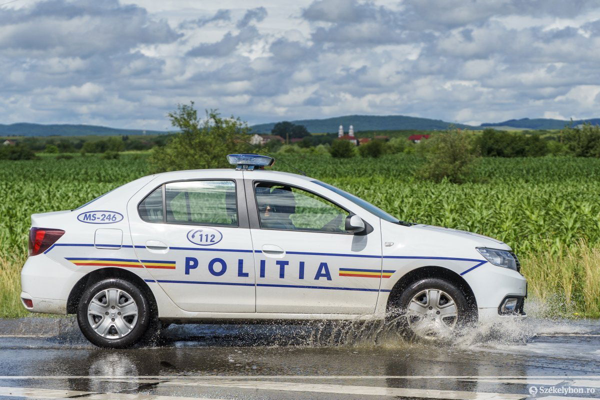 Petele •  Fotó: Haáz Vince