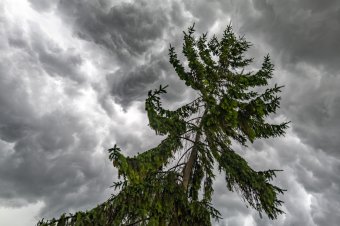 Elvonult a vihar, felsütött a nap. Dalok a viharról