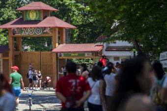 Áloméjszaka a marosvásárhelyi állatkertben