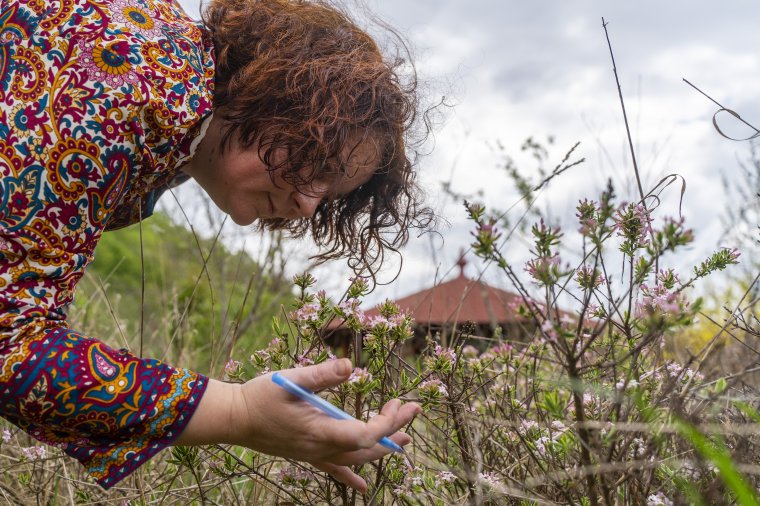 Életet adó magokat kaphatnak a pedagógusok
