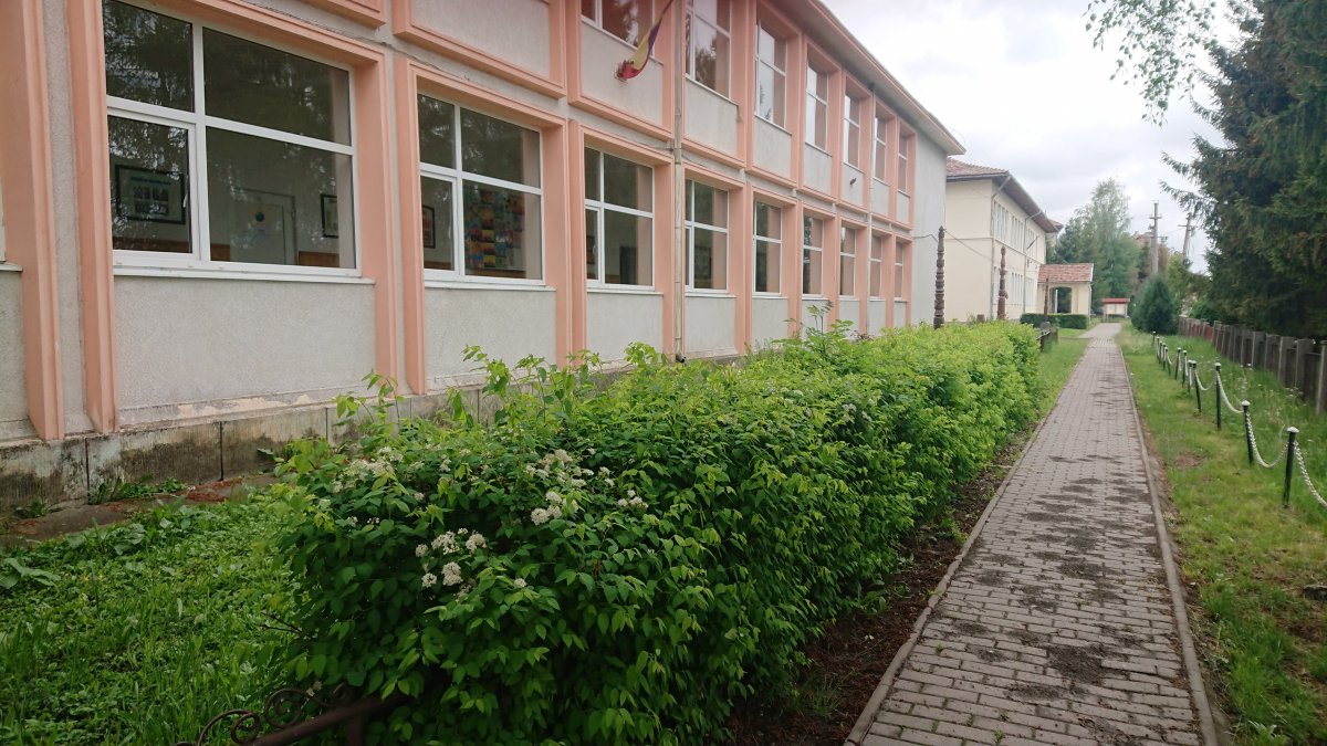 Képünk illusztráció •  Fotó: Tamási Áron Általános Iskola/Szentegyháza