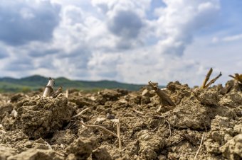 Veszélyes időszak előtt állunk: súlyos aszály és árvizek jöhetnek