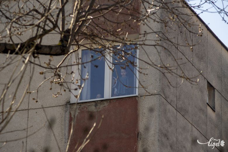 A bezártság alatt is napi szinten kell figyelni arra, hogy pozitív érzések legyenek az életünkben •  Fotó: Haáz Vince
