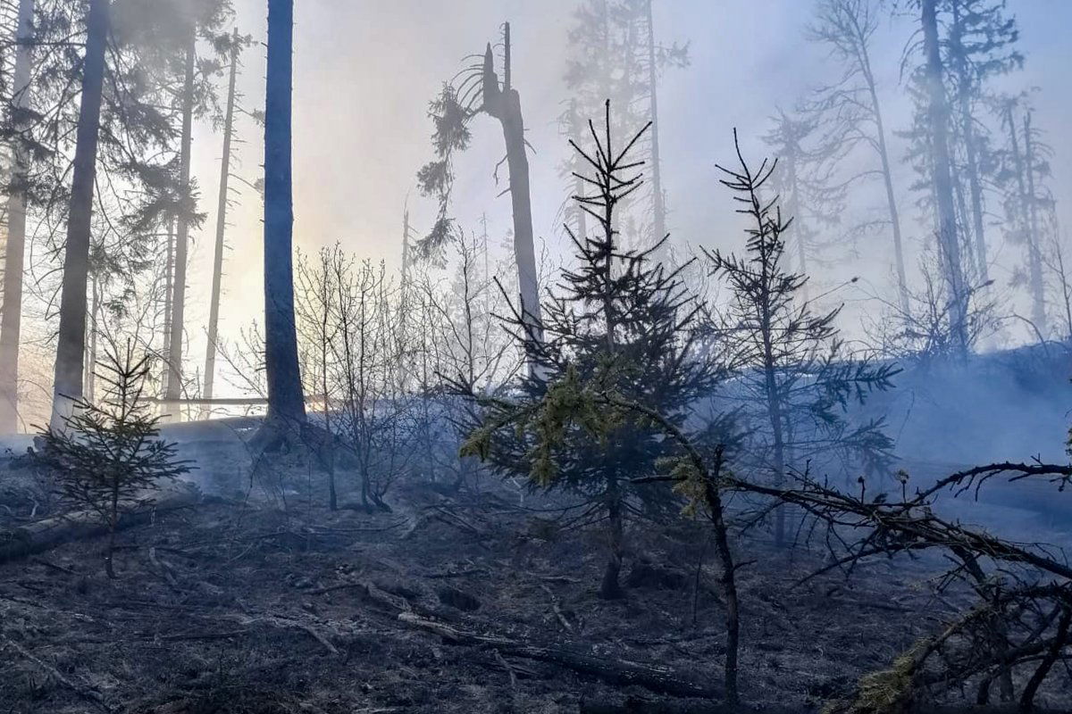 •  Fotó: Maros megyei tűzoltóság