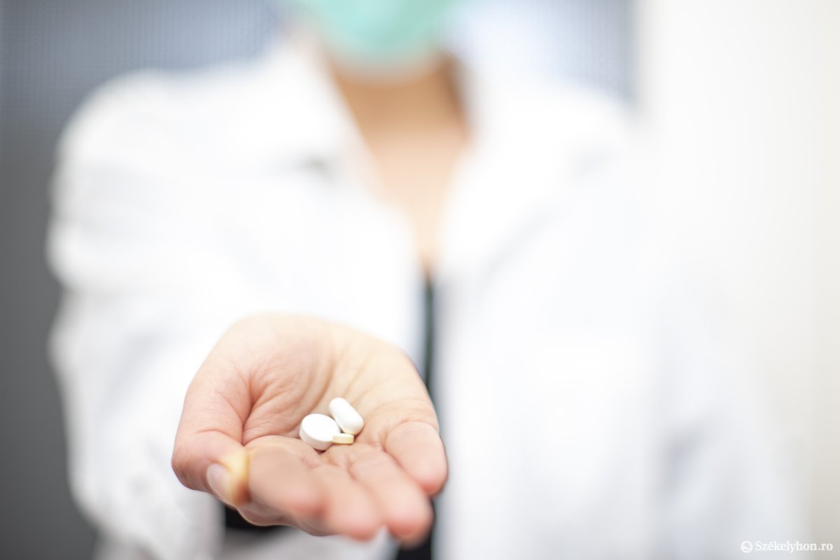 •  Fotó: Haáz Vince