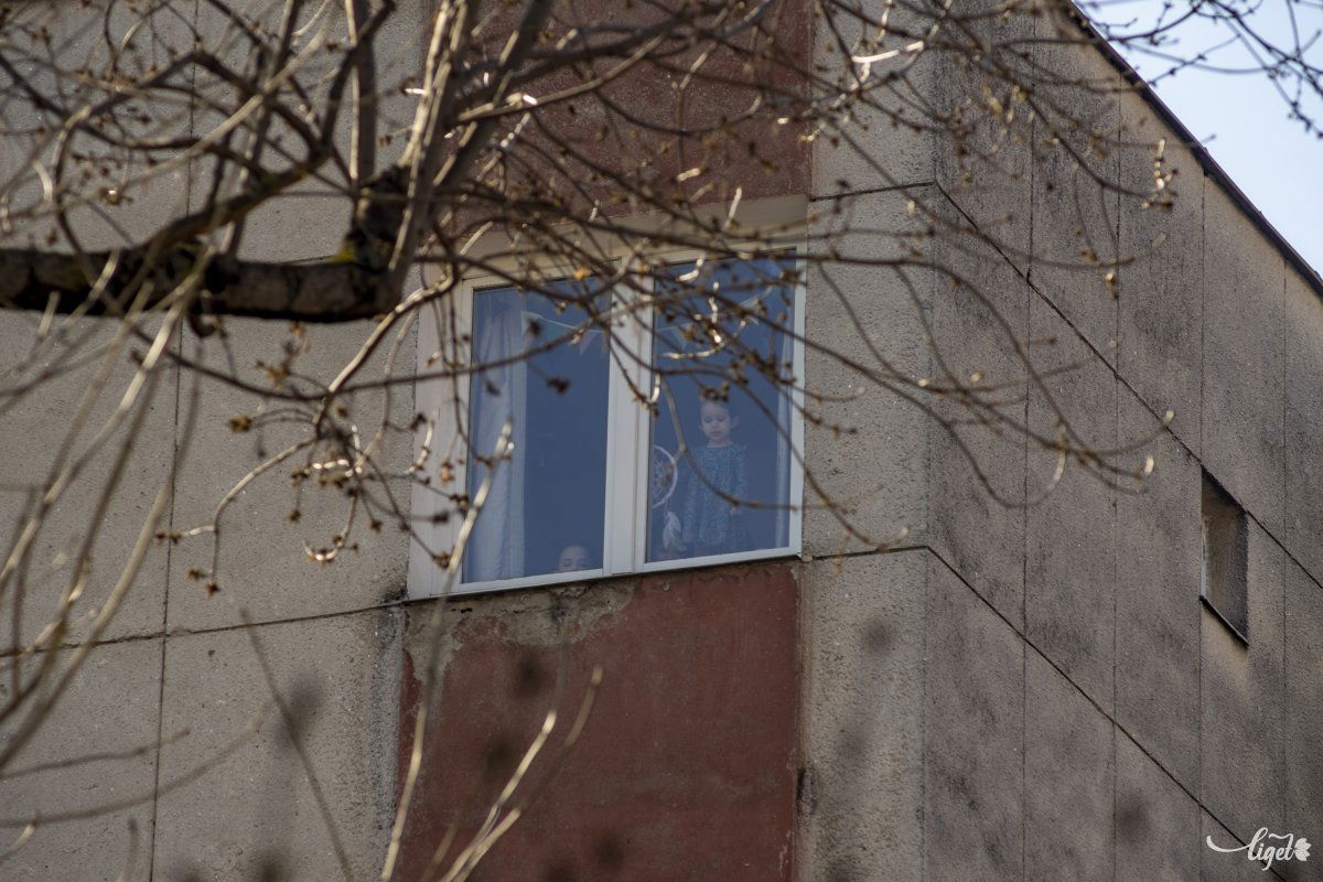 A bezártság alatt is napi szinten kell figyelni arra, hogy pozitív érzések legyenek az életünkben •  Fotó: Haáz Vince