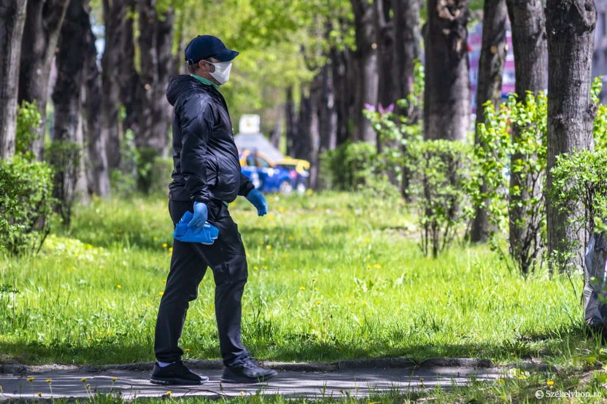 Képünk illusztráció &bullet;  Fotó: Haáz Vince