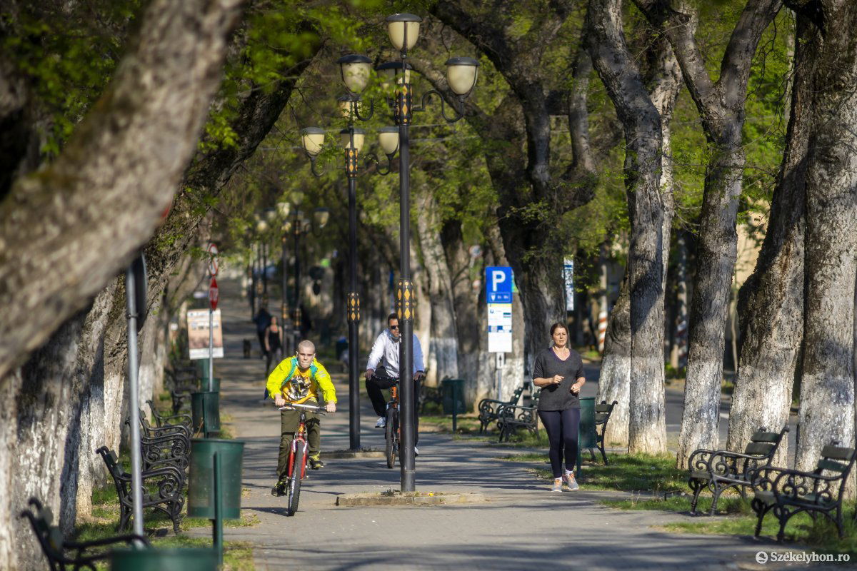Az elképzelés szerint a Párkány negyedben lehet majd másfél kilométeres bicikliúton kerékpározni •  Fotó: Haáz Vince