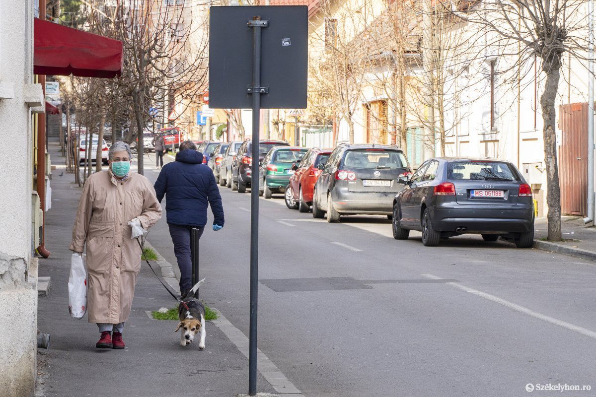 A kutyasétáltatás és a lakóhely körüli testmozgás az egyetlen kivétel a kötelező nyilatkozat felmutatása alól. Képünk illusztráció •  Fotó: Haáz Vince