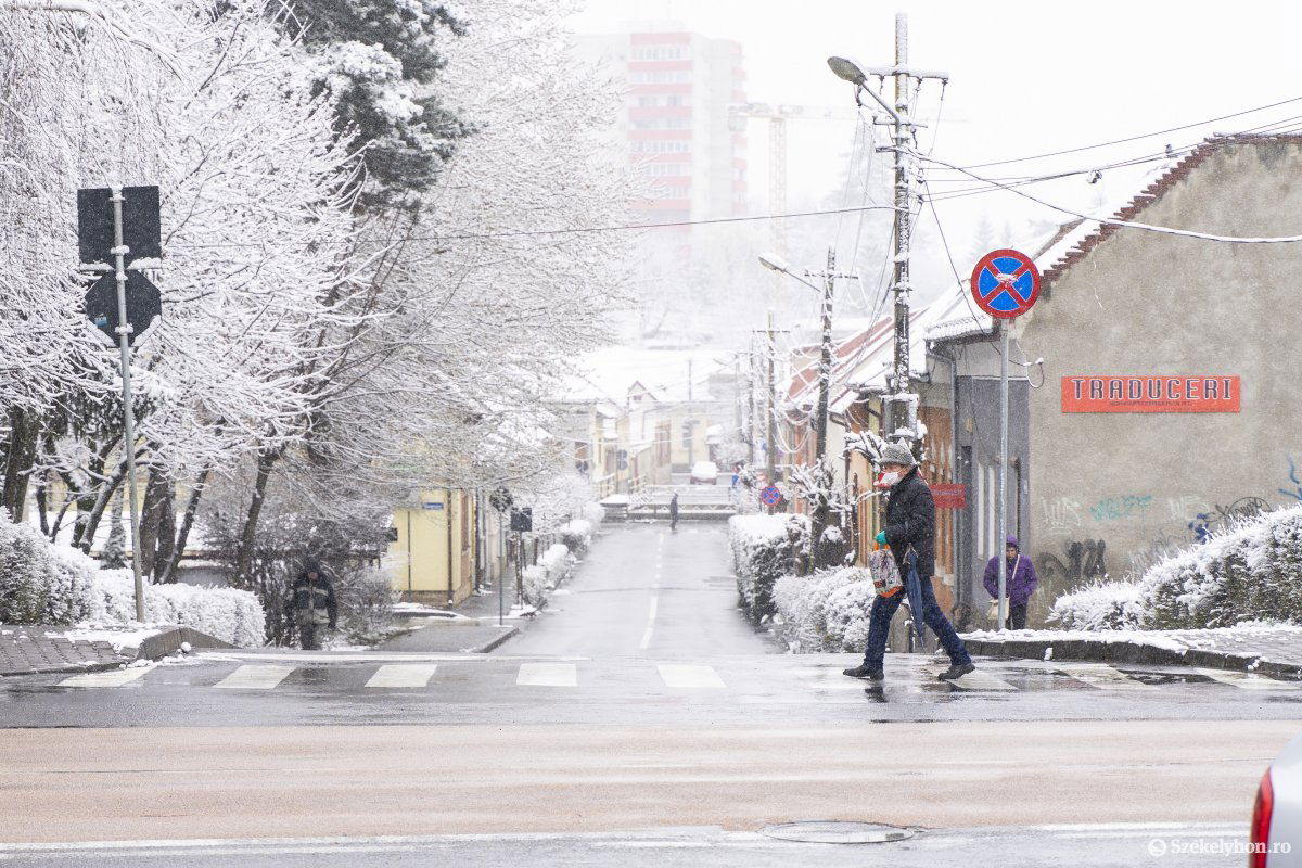 Archív &bullet;  Fotó: Haáz Vince