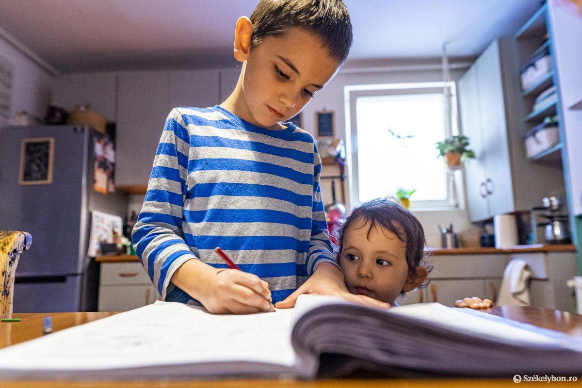 Ott is nehéz megszervezni az online tanulást, ahol a család minden gyerekének nincs saját számítógépe. Képünk illusztráció •  Fotó: Haáz Vince