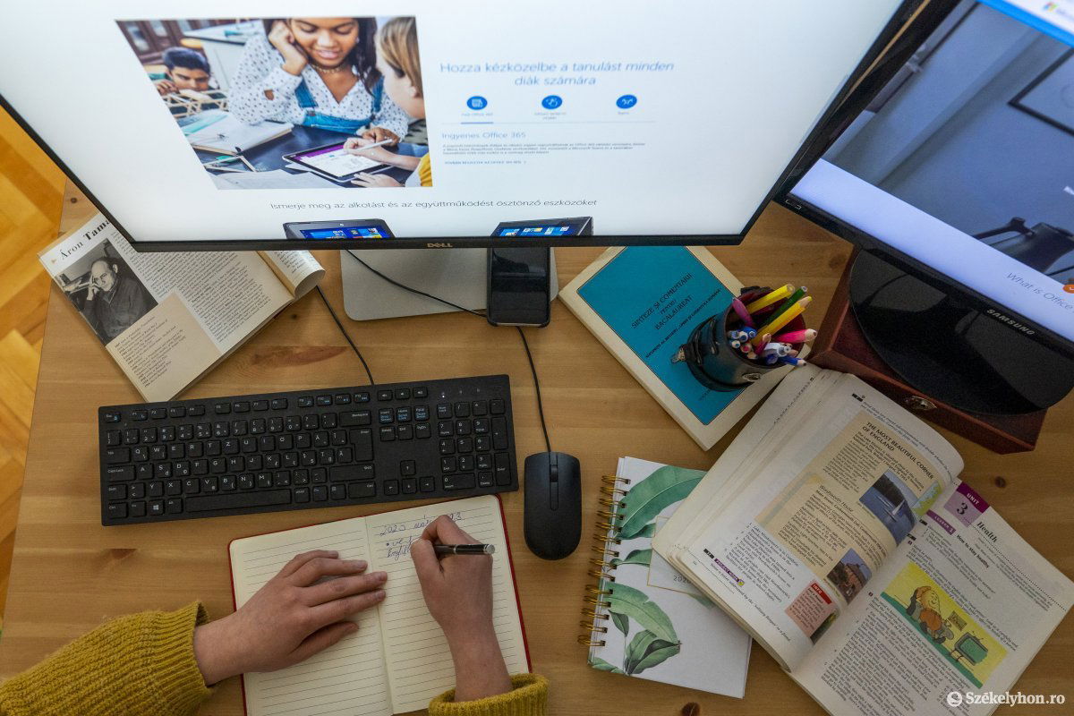 Új kihívás előtt a pedagógusok. Az online oktatásban a legnagyobb hátrány a személyes interakció hiánya •  Fotó: Haáz Vince