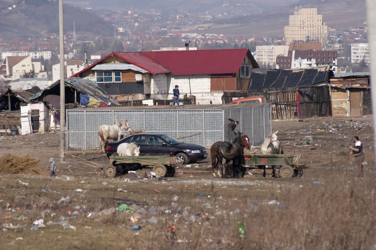 Munkára fogná a hidegvölgyi cigányokat Dorin Florea