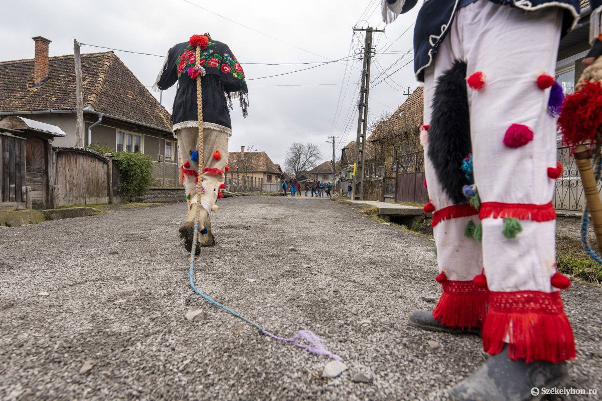 •  Fotó: Haáz Vince