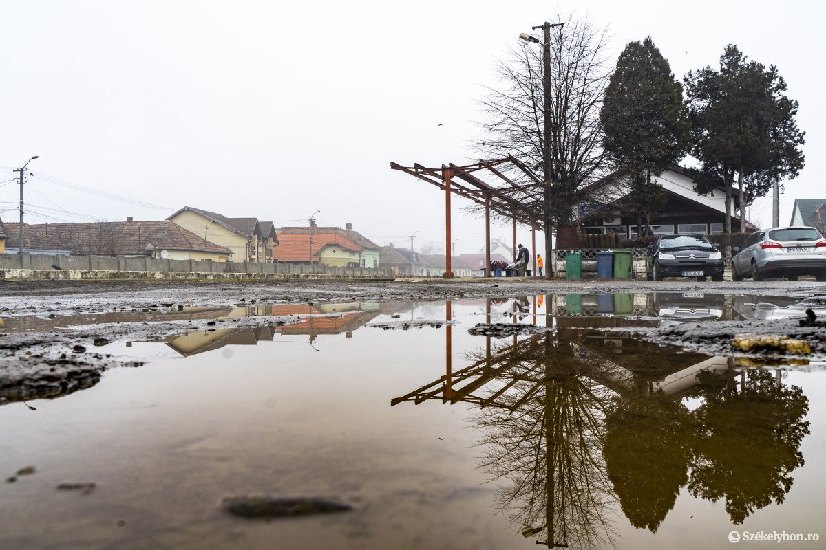 Megközelíteni is nehezen lehet a vásárhelyi kis állomást •  Fotó: Haáz Vince