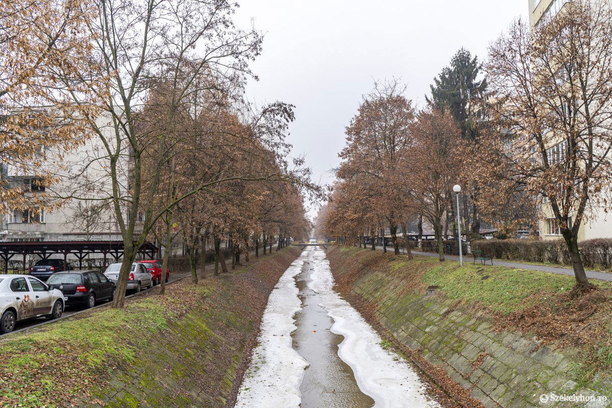 Sok szakaszon autók parkolnak a patak partján •  Fotó: Haáz Vince