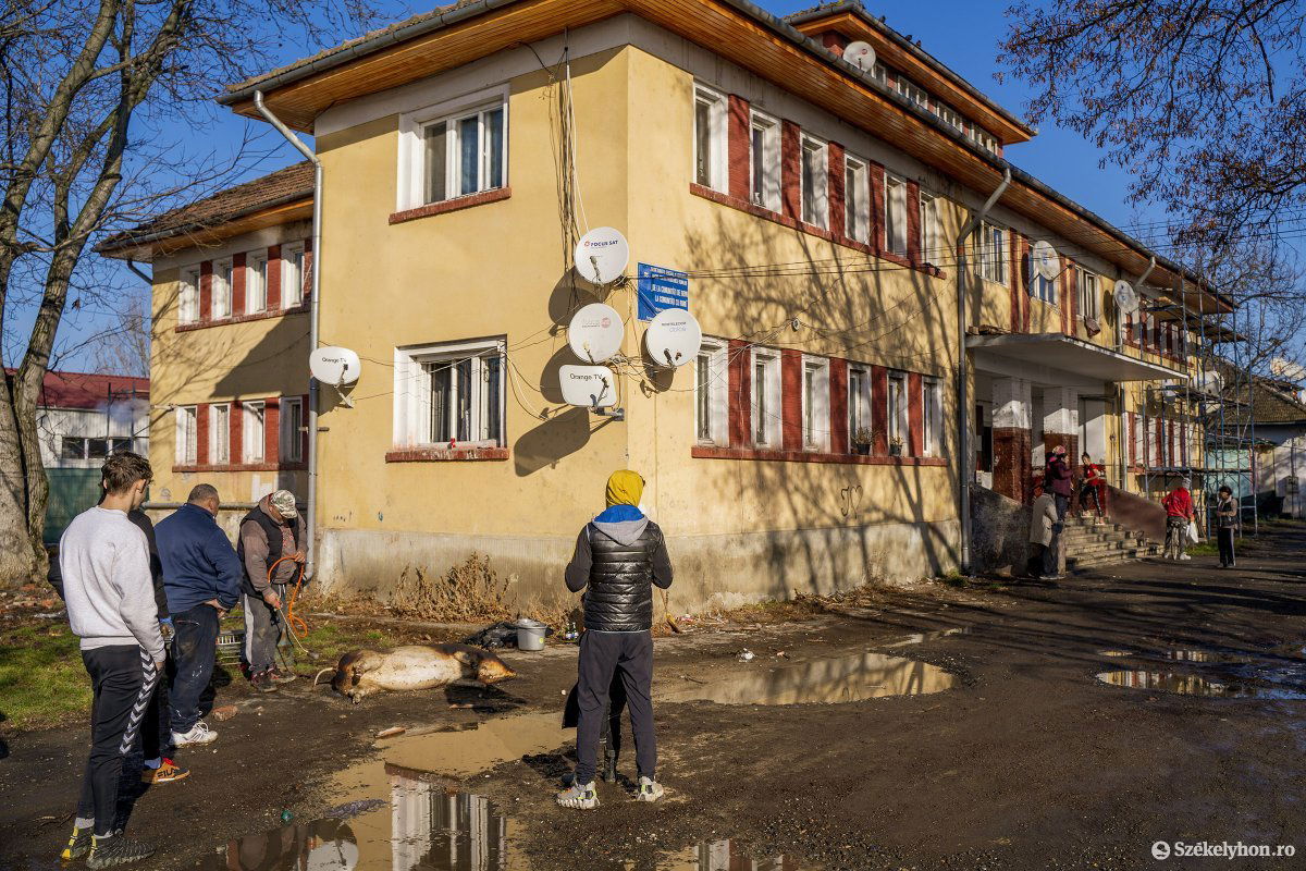 •  Fotó: Haáz Vince
