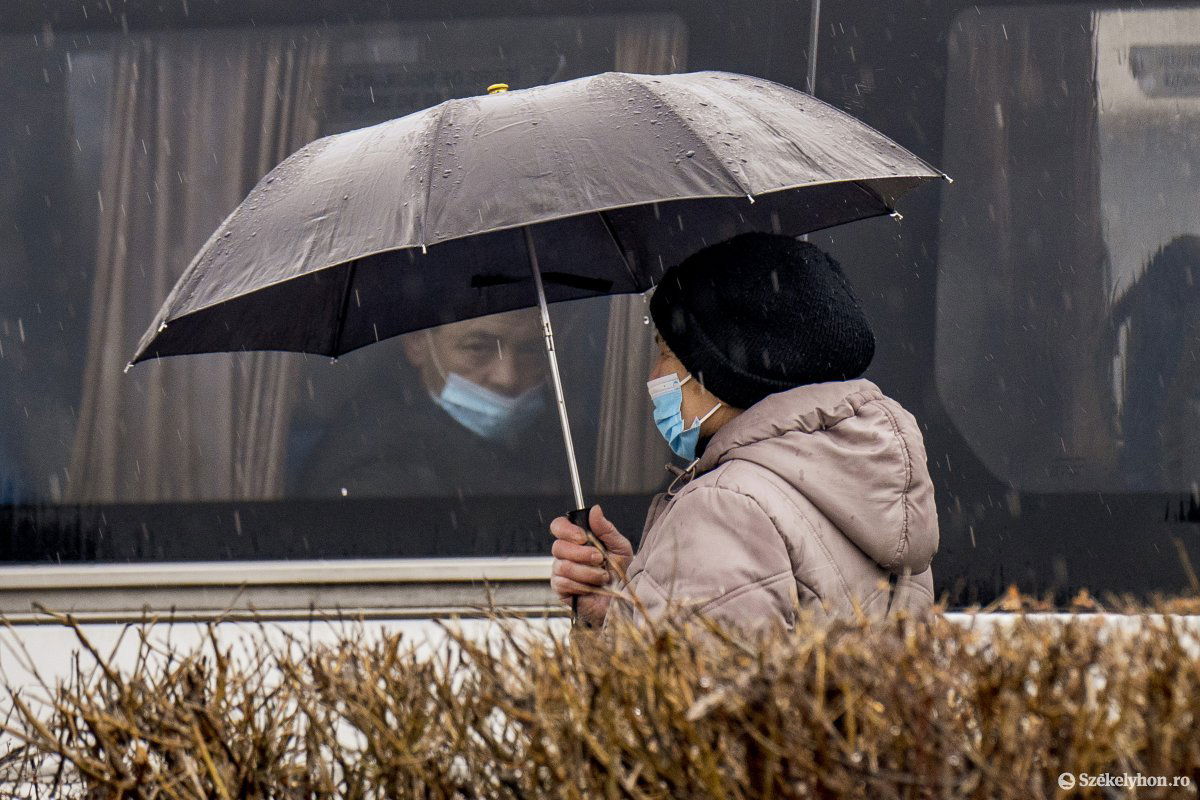 Képünk illusztráció • Fotó: Haáz Vince