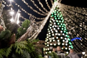 „Vigyünk mindent a Világ Világosságának ragyogásába!” – Bogdán Szabolcs János királyhágómelléki református püspök pásztorlevele